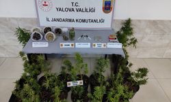 Yalova'da köydeki evinde uyuşturucu imal eden şüpheli gözaltına alındı