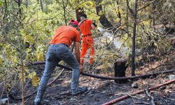 Orhaneli'de yıldırım düşmesi sonucu çıkan orman yangını söndürüldü