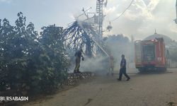 Orhangazi'de trafo patlaması nedeniyle yangın çıktı