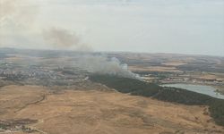 Edirne'de çıkan orman yangınına müdahale ediliyor