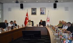 Edirne'de sınır güvenliği toplantısı yapıldı