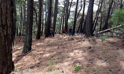 Kazdağları'ndaki orman yangını söndürüldü