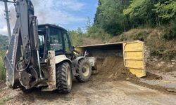 Sakarya'da freni boşalan kamyonun devrilmesi sonucu 1 kişi yaralandı