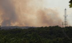 Türkiye-Bulgaristan sınırında çıkan orman yangını nedeniyle Edirne'de önlem alındı