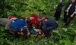 Rize'de Yük Taşıyan Teleferik Kazasında Kişi Yaralandı