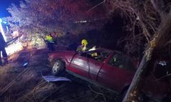 Bandırma'da bariyerlere çarparak ağaçlık alana giren otomobildeki 2 kişi yaralandı