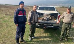 Bursa'da ağ, kafes ve ses sistemiyle saka kuşu avlayan kişiye para cezası kesildi