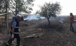 Edirne'de anız yangınında 500 dönüm tarım arazisi ve 3 ahır zarar gördü
