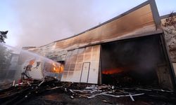 Kırklareli'nde ağaç işleme fabrikasında çıkan yangın kontrol altına alındı