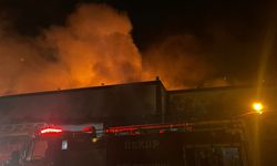 Kırklareli'nde ağaç işleme fabrikasında çıkan yangına müdahale ediliyor