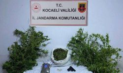 Kocaeli'de 4 kilo 88 gram skunk ele geçirildi