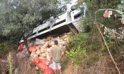 Kocaeli'de şarampole devrilen kamyonun sürücüsü yaralandı