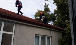 Sakarya'da çatıda mahsur kalan kediyi itfaiye kurtardı