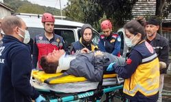 Sakarya'da hafif ticari araç bahçe duvarına çarptı, 2 kişi yaralandı