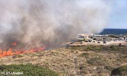 İzmir Bayındır'da Orman Yangını