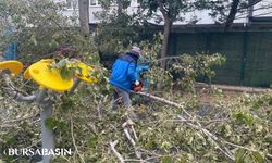 Avcılar'da Parkta Ağaç Devrildi, 3 Çocuk Hafif Yaralandı