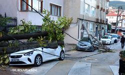 Bursa'da Lodos: Ağaç ve Elektrik Direği Araçların Üzerine Devrildi