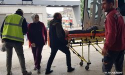 Bursa İnegöl'de İnşaat İşçisi, Köpek Saldırısında Ağır Yaralandı