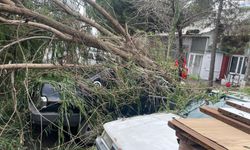 Lüleburgaz'da şiddetli rüzgar etkili oldu