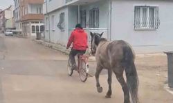 Bursa’da atı bisikletine bağlayarak götürdü