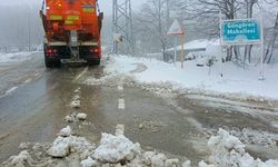 Nilüfer'de Karla Mücadele: Ekipler Yolları Açtı