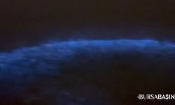 Mudanya'da Alg Patlaması: Deniz Geceyi Mavi Işıklarla Aydınlatıyor
