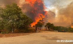 Şili'deki Orman Yangınlarında 10 Kişi Hayatını Kaybetti