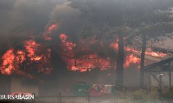 Şili Orman Yangınlarında Ölü Sayısı 51'e Yükseldi