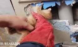 Bursa'da İtfaiye Yavru Kediyi Duvarın İçinden Kurtardı