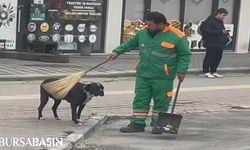 Bursa'da Temizlik Görevlisi Sokak Köpeğini Süpürgeyle Temizledi