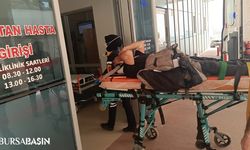 Bursa-Yalova Yolu Trafik Kazası: İki Yaralı