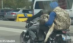 Motosikletli Şahısların Kangal Köpeği ile Tehlikeli Sürüşü Tepki Topladı