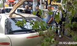 Bursa'da Rüzgarın Etkisi: Ağaç Dalı Otomobilin Üzerine Düştü