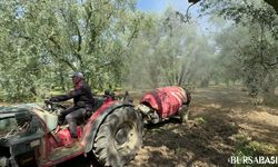 Bursa'da Çiftçi, Zeytin Ağaçlarına İlaçlama Yaparken Şok Geçirdi