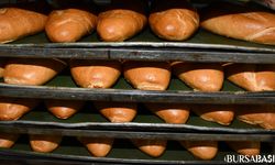 Kestel Belediyesi, İhtiyaç Sahiplerine Ücretsiz Ekmek Dağıtıyor