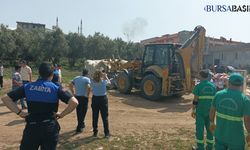 Osmangazi Belediyesi, Göçebe Çadırları ve Başıboş Atları Topladı