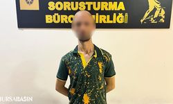 Bursa'da Okul Hırsızlığı Yapan Fare Yakalandı