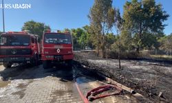 Mudanya'da Anız Yangını Kontrol Altına Alındı