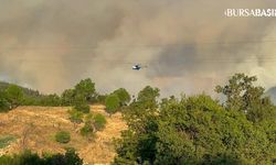 Büyükorhan'da Bin Personel Orman Yangınına Müdahale Ediyor