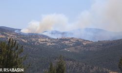 Büyükorhan'da Orman Yangını Kontrol Altına Alınmaya Çalışılıyor