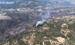 Bursa Büyükorhan'da 250 Hektarlık Orman Yangını