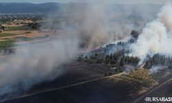 Yolçatı’da Yangın Ormanlık Alana Sıçradı