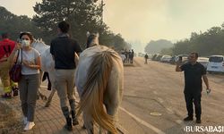 Nilüfer Yolçatı’nda Yangın: Atlar Kurtarıldı, Diğer Hayvanlar Telef Oldu