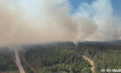 Bursa’da Orman Yangınıyla İlgili Soruşturma Başlatıldı