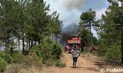Orhaneli'nde Ormanlık Alanda Yangın Kontrol Altına Alındı