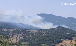 Orhaneli'de Orman Yangını: Havadan ve Karadan Müdahale