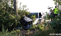 İnegöl'de Ağaçlara Çarpan Otomobilde 2 Kişi Yaralandı