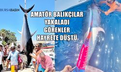 Amatör Balıkçılar 370 Kiloluk Orkinos Yakaladı