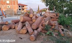 İznik'te Kamyon Virajı Alamayıp Tomrukları Saçtı