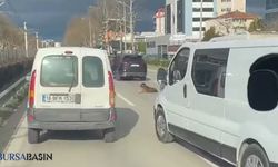 Osmangazi'de Yolda Oturan Köpek Trafiği Kilitledi